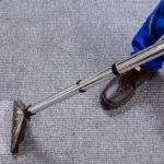 Professional Carpet Cleaning in Boston
